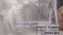 Tetracaine hcl cas136-47-0