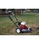 Compact Stump Grinder NorthStar - 160cc Honda GX160 Engine