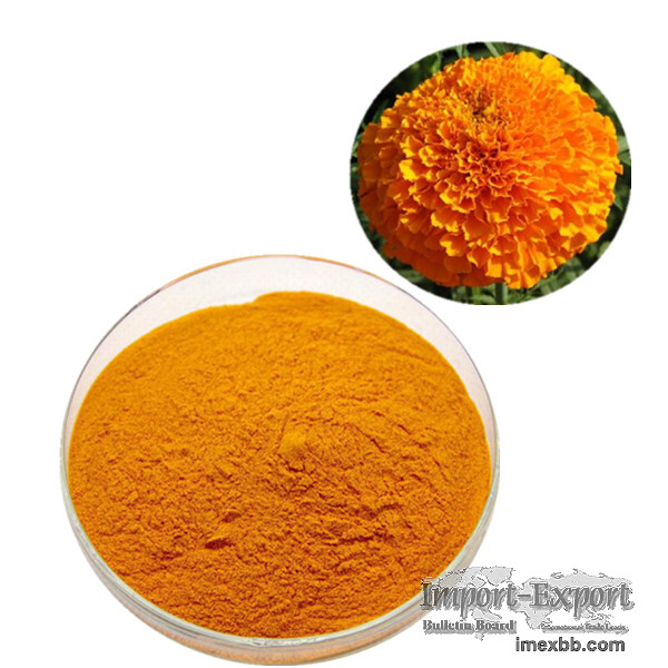 Marigold Extract Lutein 10% 20% 40% 