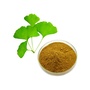 Pure Natural 24% Flavonoids 6% Lactones 5ppm Ginkgo Biloba Leaf Extract Pow