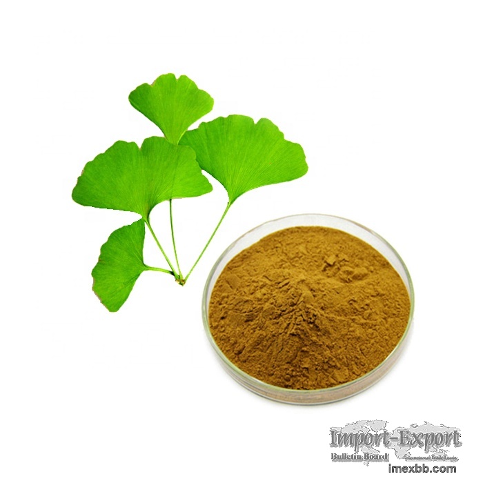 Pure Natural 24% Flavonoids 6% Lactones 5ppm Ginkgo Biloba Leaf Extract Pow