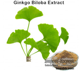 GINKGO BILOBA EXTRACT