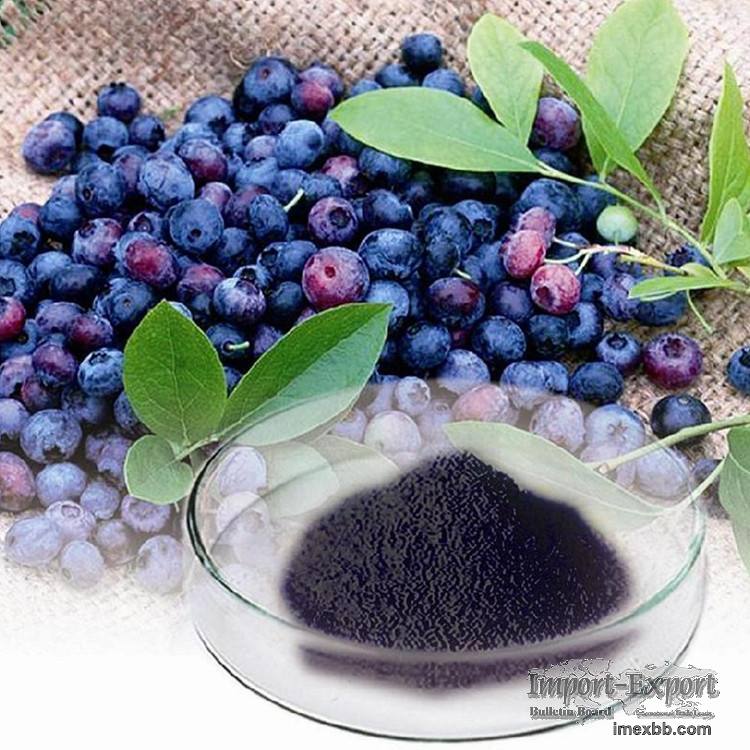 Bilberry Extract Anthocyanidins 1-25% Anthocyanins 1-36%