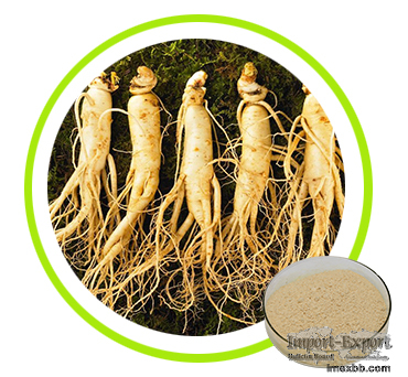 Ginseng Root Extract Ginsenosides 10% 20% 30% 50% 80%