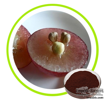 Grape Seed Extract Non-GMO, Non-Irradiation, Water Soluble