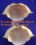 Raw Material Dried Crab Shell Vietnam