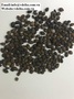 100% Natural dried papaya seed from Vietnam