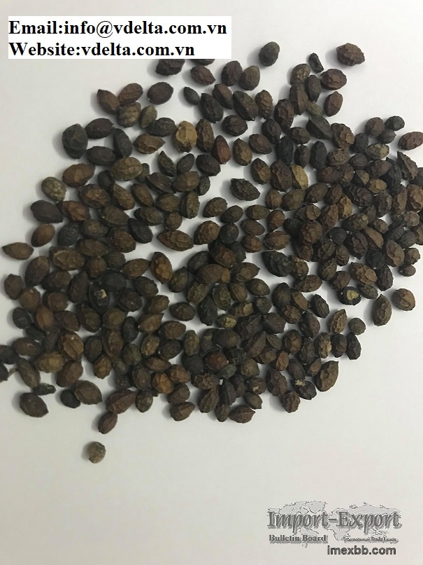 100% Natural dried papaya seed from Vietnam