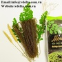 Organic moringa rice noodles Vietnam Origin