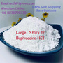 >99% Purity Bupivacaine HCL Powder For Sale