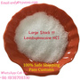 Hot Selling >99% Purity Levobupivacaine HCL Powder
