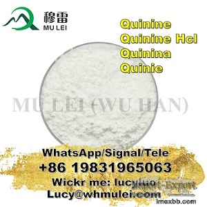 Nature Herbal Cinchona Extract Purity Quinine Powder CAS 130-95-0