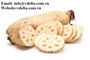 Frozen Sliced Lotus Roots