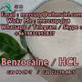 mesh benzocaine , 40 mesh  Benzocaine Hydrochloride  benzocaine hcl powde