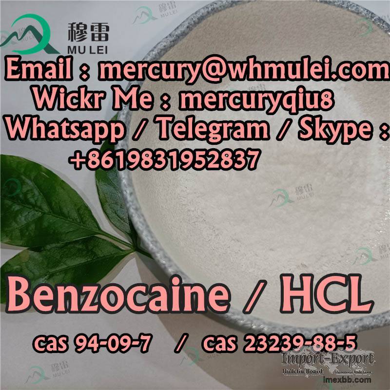 mesh benzocaine , 40 mesh  Benzocaine Hydrochloride  benzocaine hcl powde
