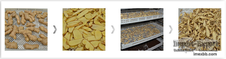 Ginger Dryer Machine