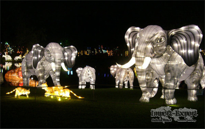 Amimal Shaped Lighting