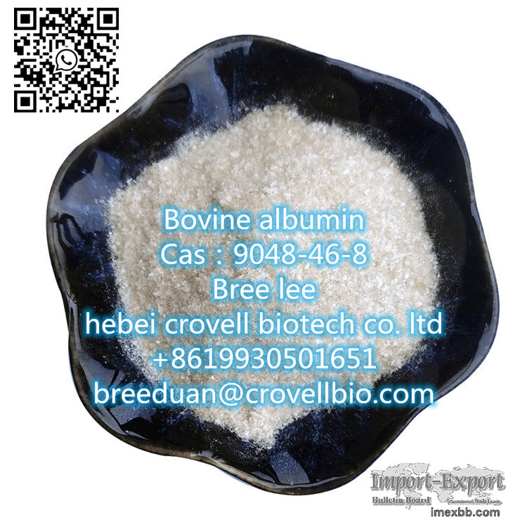 High Purity Cas 9048-46-8 Bovine serum albumin/BSA from Manufacture supplie