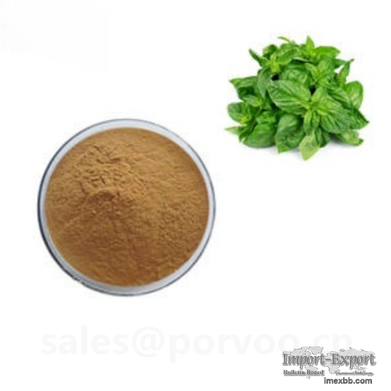 Natural high quality holy basil extract,Holy Basil Extract Anti-bacterial,P