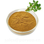 100% Pure Natural bacopa monnieri extract powder,The main benifits of Bacop