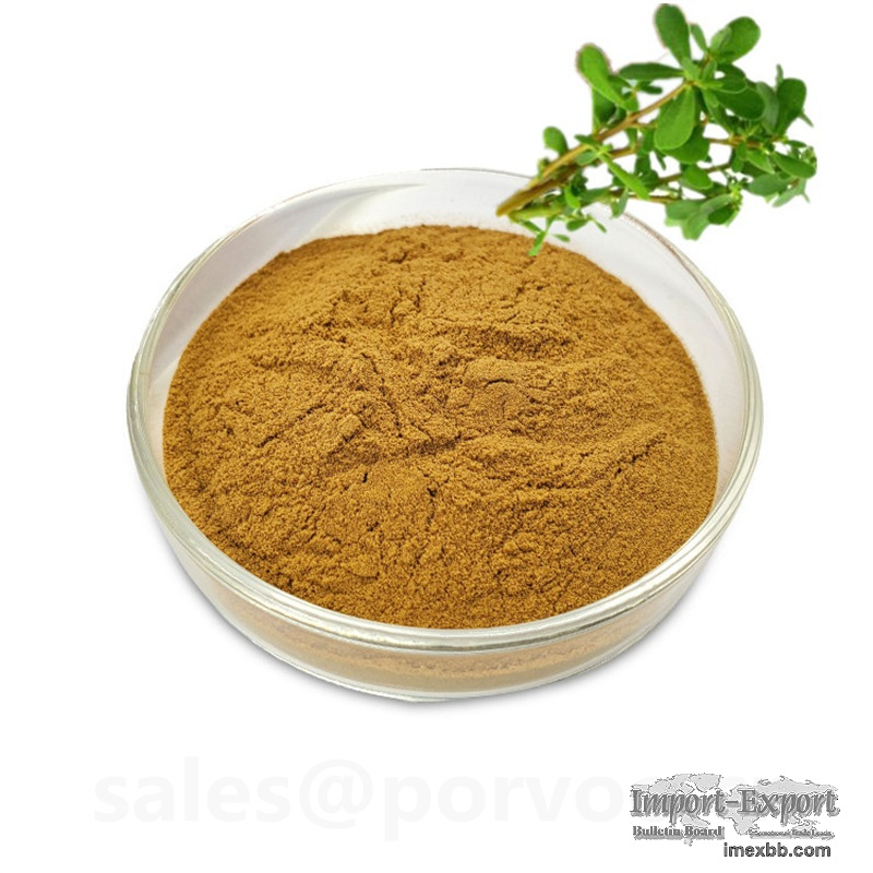 100% Pure Natural bacopa monnieri extract powder,The main benifits of Bacop