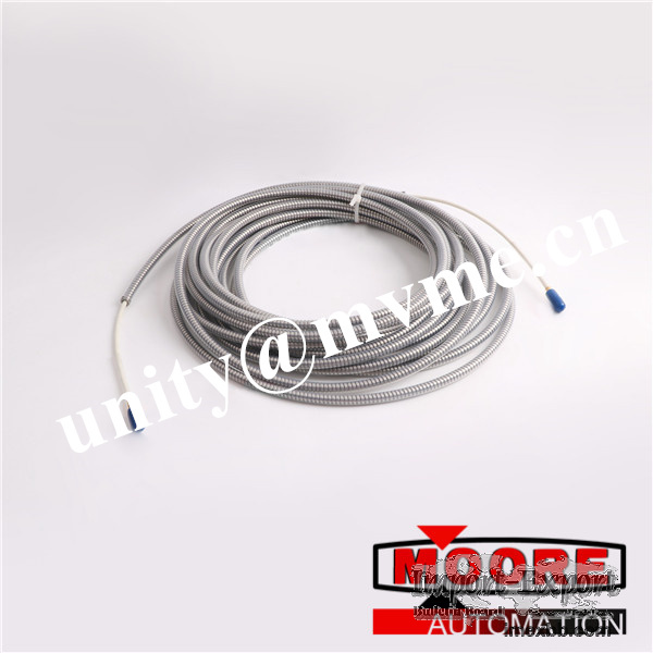 BENTLY NEVADA	330909-00-99-10-02-00