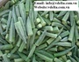 Hot Best Seller Okra with Reasonable Price in Viet Nam 