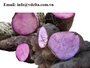 Hot Sale in Yams/ New crop in Yams from Viet Nam