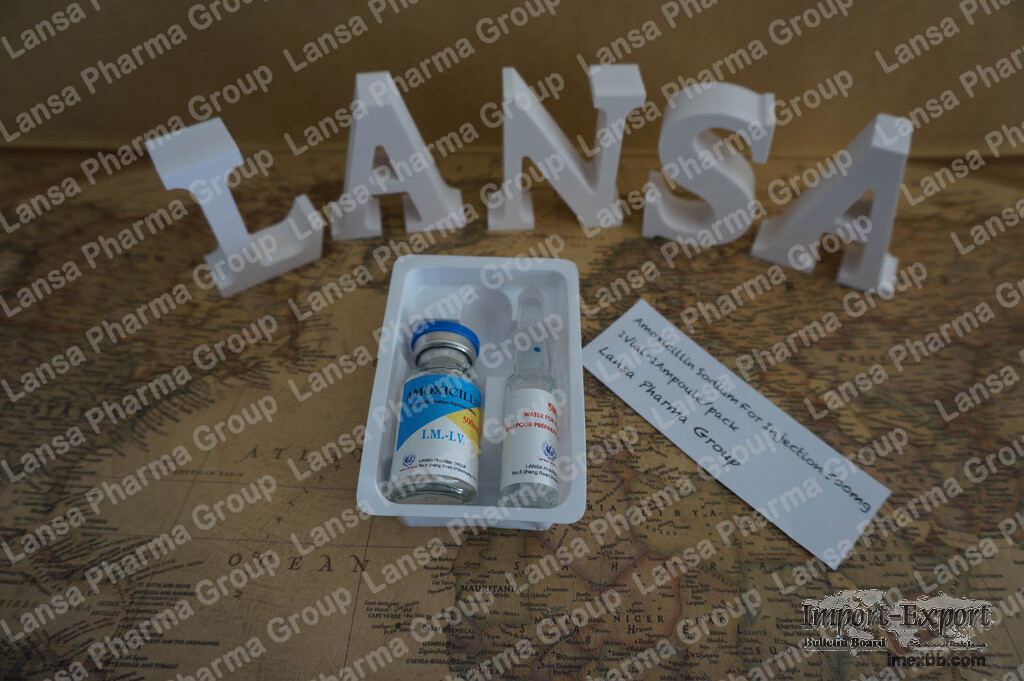 Amoxicillin Sodium for Injection