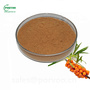 Sea buckthorn extract,Sea Buckthorn Factory, Hippophae rhamnoides extract f