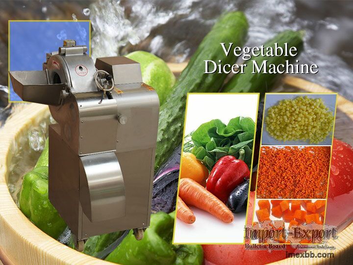 Vegetable Dicing Machine  Onion & Tomato Dicer Machine