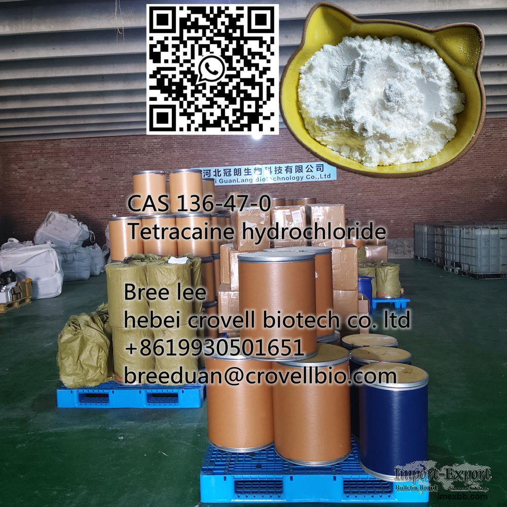 CAS 136-47-0 Tetracaine hydrochloride Supplier +86 19930501651