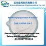 China Supply N-phenylpiperidin-4-amine CAS 23056-29-3 with Large Stock 