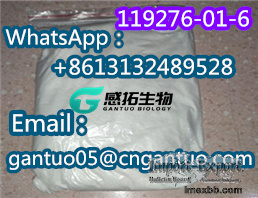 Protonitazene (hydrochloride) CAS119276-01-6