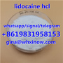 99% lidocaine hydrochloride powder, lidocaine hcl China factory direct sell