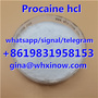 China factory hot selling Procaine powder, raw procaine hcl