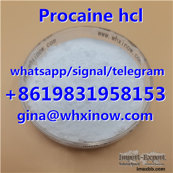 China factory hot selling Procaine powder, raw procaine hcl