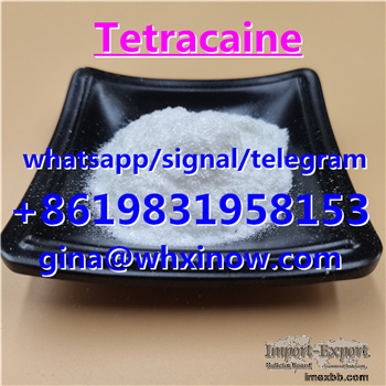 tetracaine,tetracaine powder from China tetracaine supplier