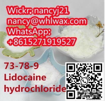 Lidocaine hydrochloride China Factory Supply CAS 73-78-9	