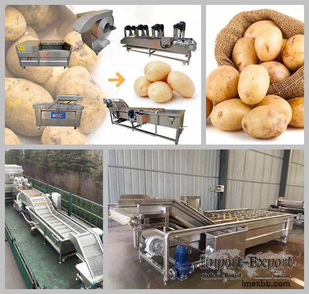 Complete Potato Washing Line Plant  Peeling Slicing Drying Packaging
