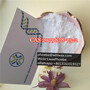 Sell CAS2079878-75-2 Powder 2-(2-Chlorophenyl)-2-nitrocyclohexanone to Euro
