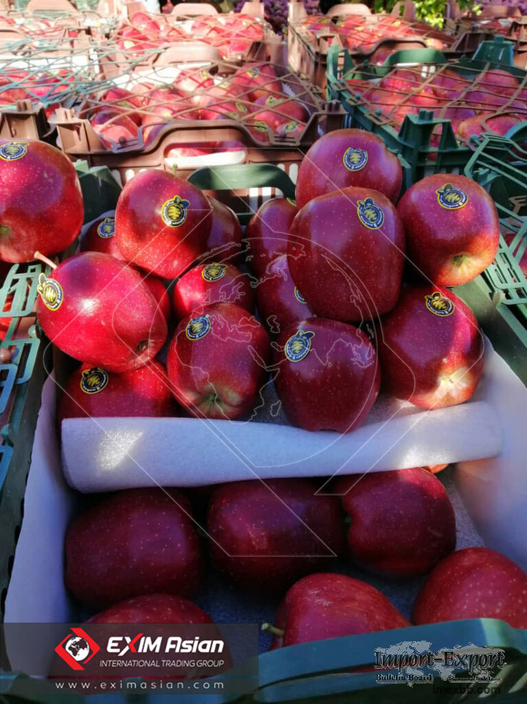Export Red Apple to India
