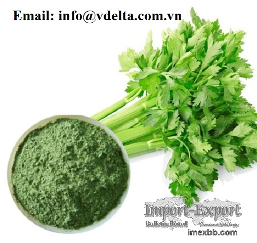 Good Quality and Best Price Dried Celery Powder