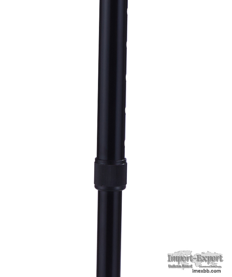 Anatomic Handle Cane