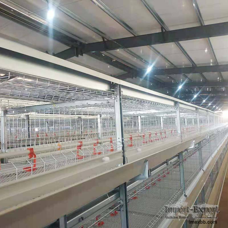 Broiler Chicken Cage