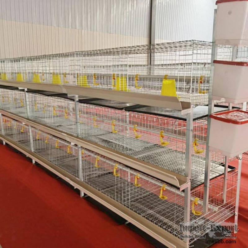 H type chicken broiler cage