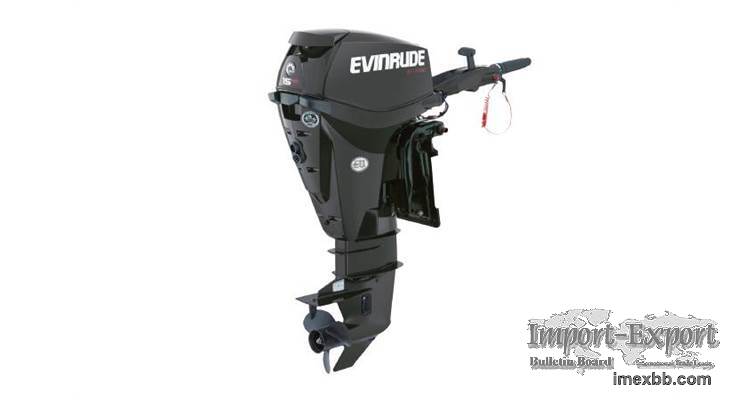 2019 Evinrude E TEC Engines 15 H.O. E15HPGX Graphite