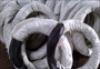 Annealed Wire