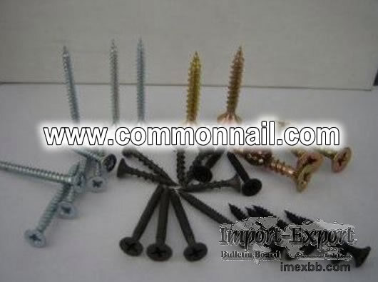 304 Ring Shank Steel Common Nails