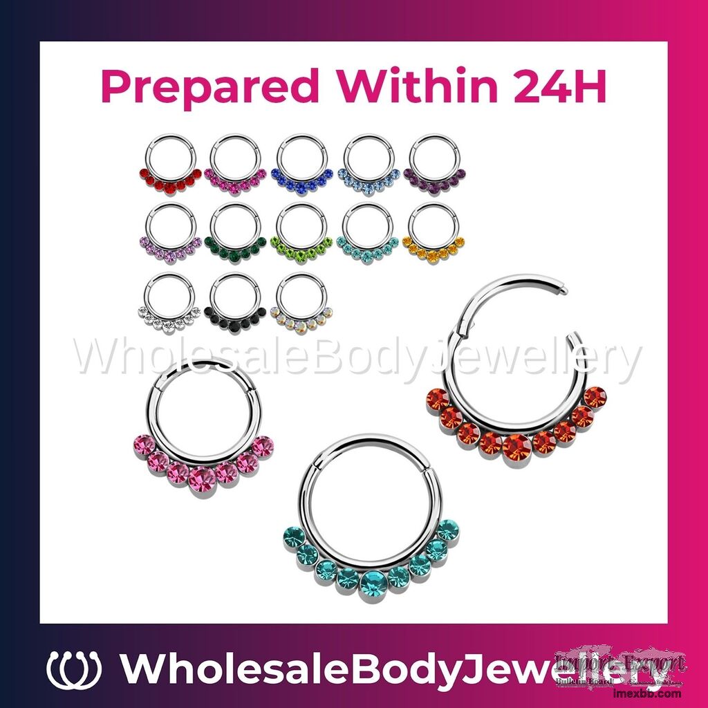 Wholesale Hinged Segment Ring